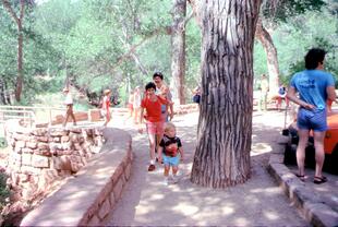 1977 August Bryce and Zion00039