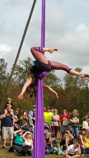 Renaissance Festival 11-27-15 042