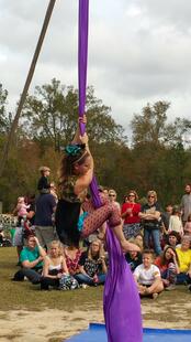 Renaissance Festival 11-27-15 043