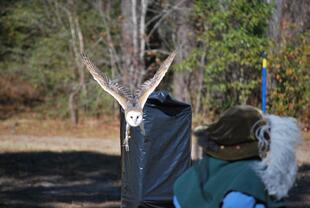 Louisiana Renaissance Festival 11-28-14 008