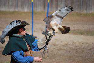 Louisiana Renaissance Festival 11-28-14 011