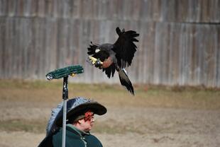 Louisiana Renaissance Festival 11-28-14 040