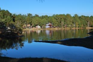 Louisiana Renaissance Festival 11-28-14 115