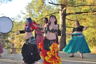 Louisiana Renaissance Festival 11-28-14 133